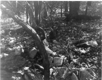 Kernstown battlefield